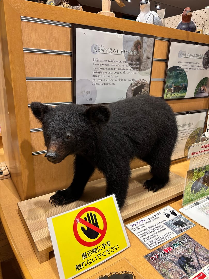 展示施設に立つ熊。ぺすが自分は熊だと主張する場面